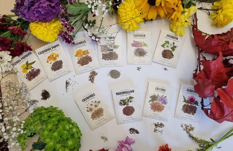 The Medicinal Garden Kit: Your Natural Backyard Pharmacy